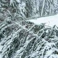 schneebruch.png
